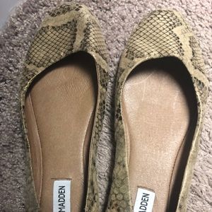 Snakeskin Steve Madden flats